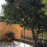 Grande Bilocale Con Posto Auto Privato E Giardino Lägenhet