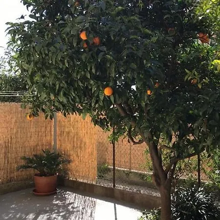 Grande Bilocale Con Giardino E Posto Auto Privato Comodo Al Mare Apartment