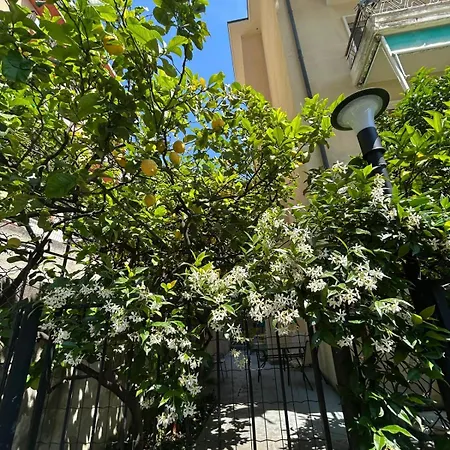 Grande Bilocale Con Posto Auto Privato E Giardino * Varazze